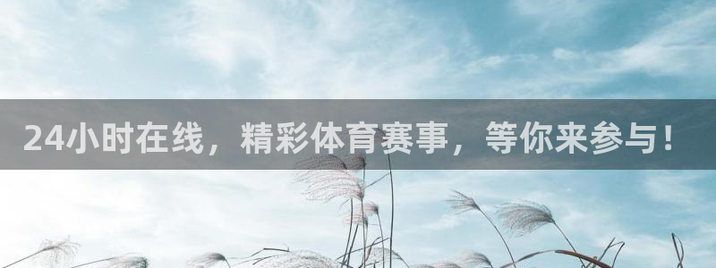 24小时在线，精彩体育赛事，等你来参与！