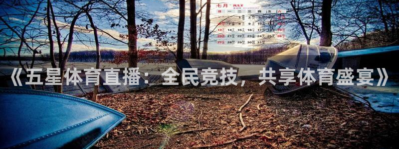 《五星体育直播：全民竞技，共享体育盛宴》