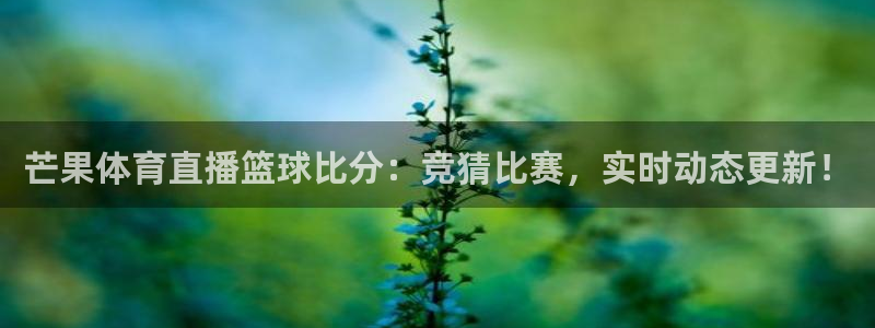 芒果体育直播篮球比分：竞猜比赛，实时动态更新！