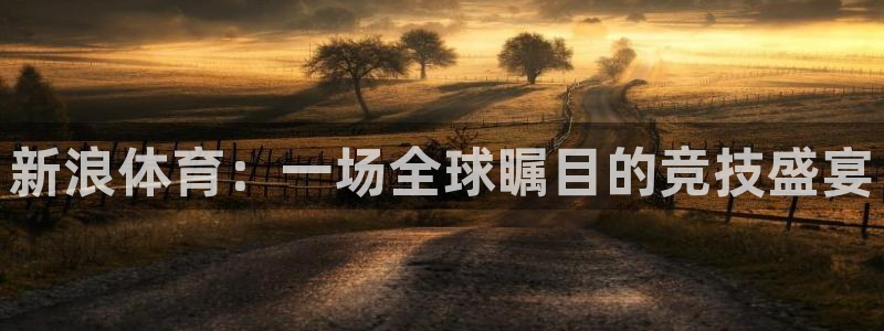 新浪体育：一场全球瞩目的竞技盛宴
