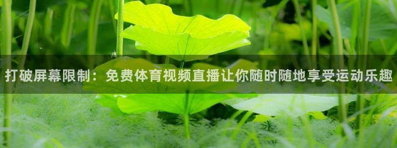 打破屏幕限制：免费体育视频直播让你随时随地享受运动乐趣
