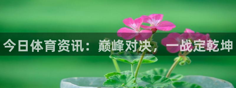 今日体育资讯：巅峰对决，一战定乾坤