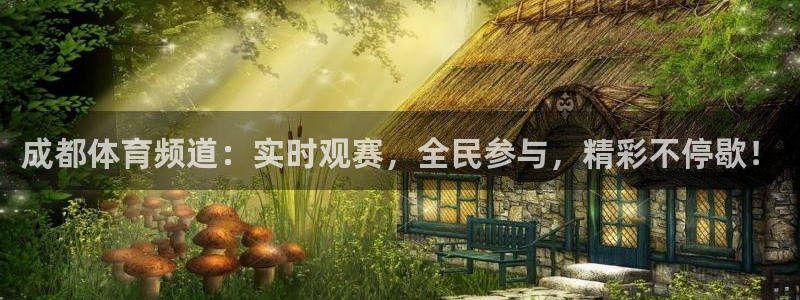 成都体育频道：实时观赛，全民参与，精彩不停歇！