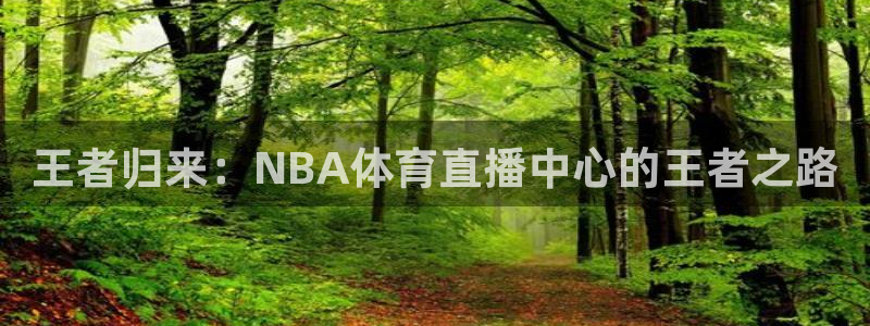 王者归来：NBA体育直播中心的王者之路