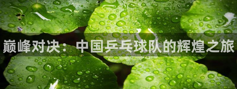 巅峰对决：中国乒乓球队的辉煌之旅