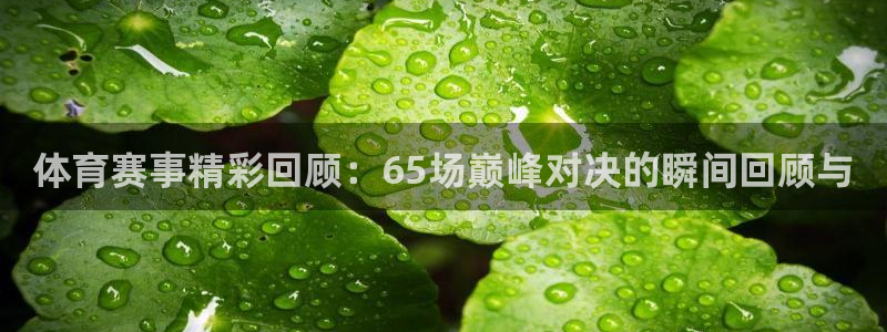 体育赛事精彩回顾：65场巅峰对决的瞬间回顾与