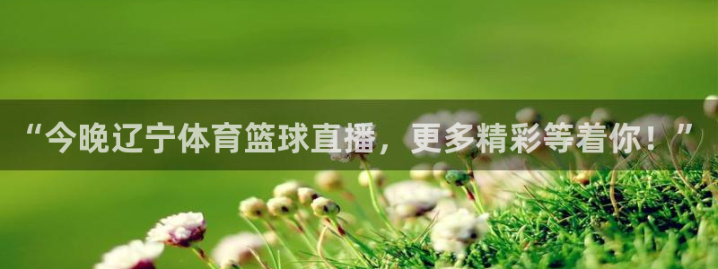 “今晚辽宁体育篮球直播，更多精彩等着你！”