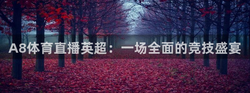 A8体育直播英超：一场全面的竞技盛宴