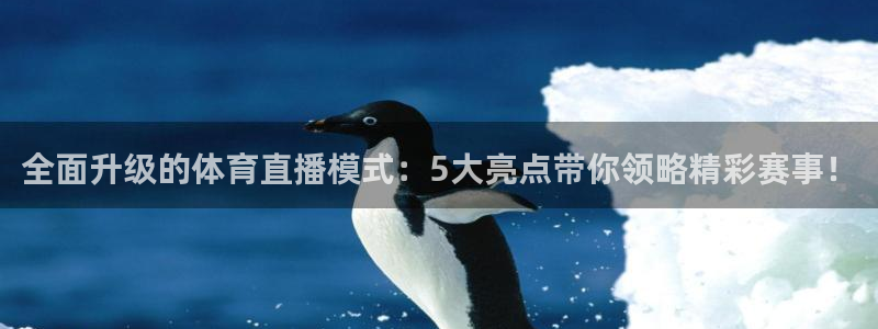 全面升级的体育直播模式：5大亮点带你领略精彩赛事！