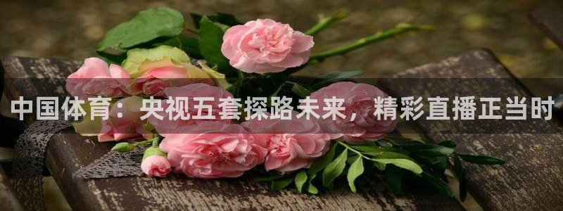 中国体育：央视五套探路未来，精彩直播正当时