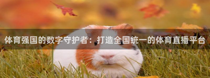 体育强国的数字守护者：打造全国统一的体育直播平台