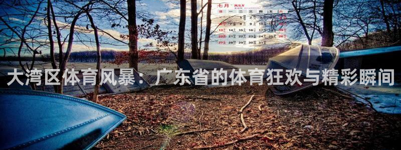 大湾区体育风暴：广东省的体育狂欢与精彩瞬间