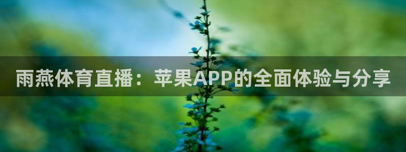 雨燕体育直播：苹果APP的全面体验与分享