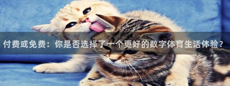 付费或免费：你是否选择了一个更好的数字体育生活体验？