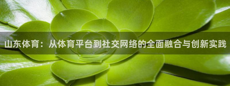 山东体育：从体育平台到社交网络的全面融合与创新实践