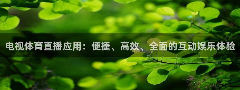 电视体育直播应用：便捷、高效、全面的互动娱乐体验