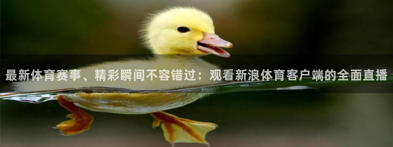 最新体育赛事、精彩瞬间不容错过：观看新浪体育客户端的全面直播