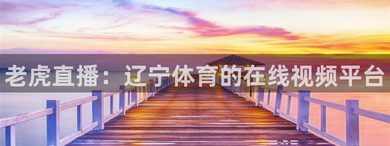 老虎直播：辽宁体育的在线视频平台