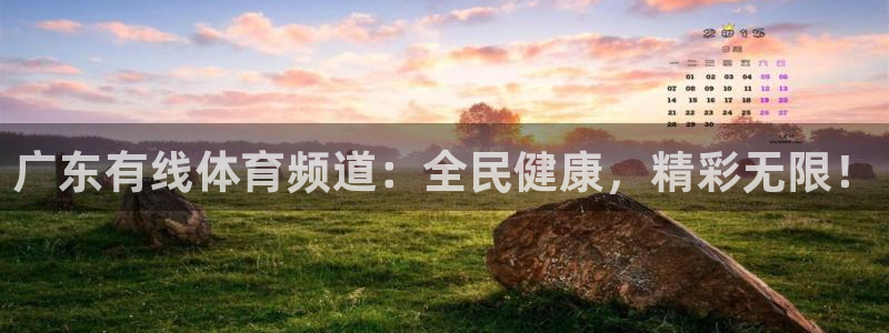 广东有线体育频道：全民健康，精彩无限！
