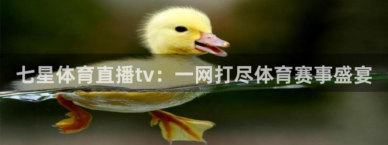 七星体育直播tv：一网打尽体育赛事盛宴