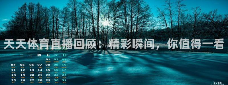 天天体育直播回顾：精彩瞬间，你值得一看