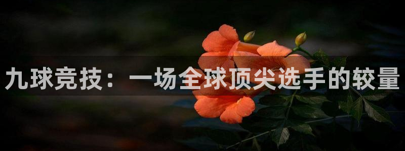 九球竞技：一场全球顶尖选手的较量
