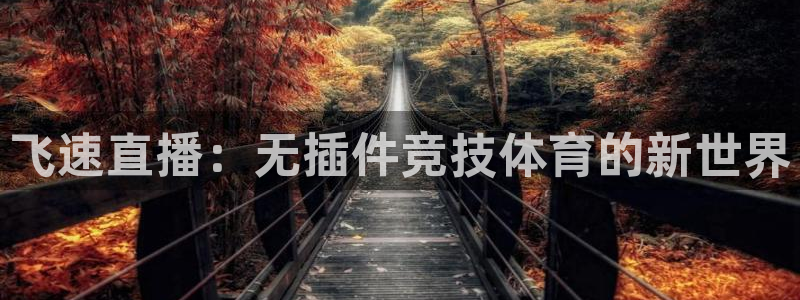 飞速直播：无插件竞技体育的新世界