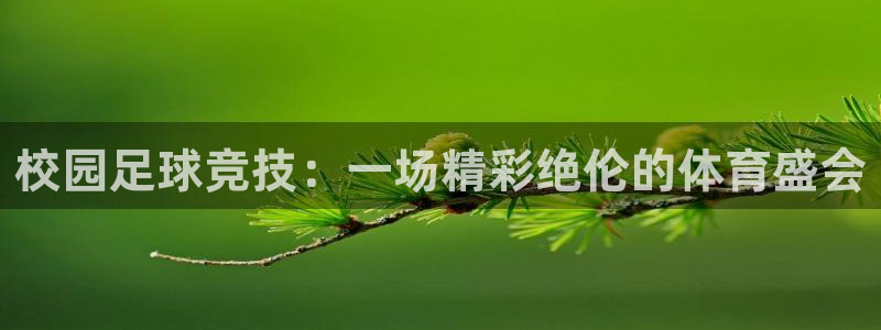 校园足球竞技：一场精彩绝伦的体育盛会