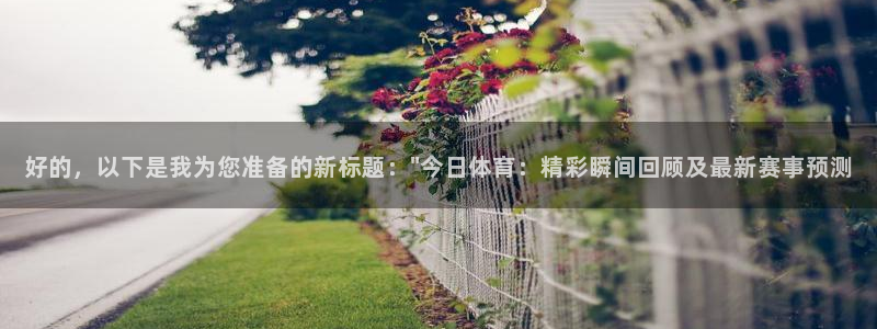 好的，以下是我为您准备的新标题：\
