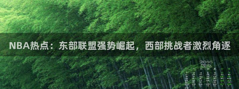 NBA热点：东部联盟强势崛起，西部挑战者激烈角逐